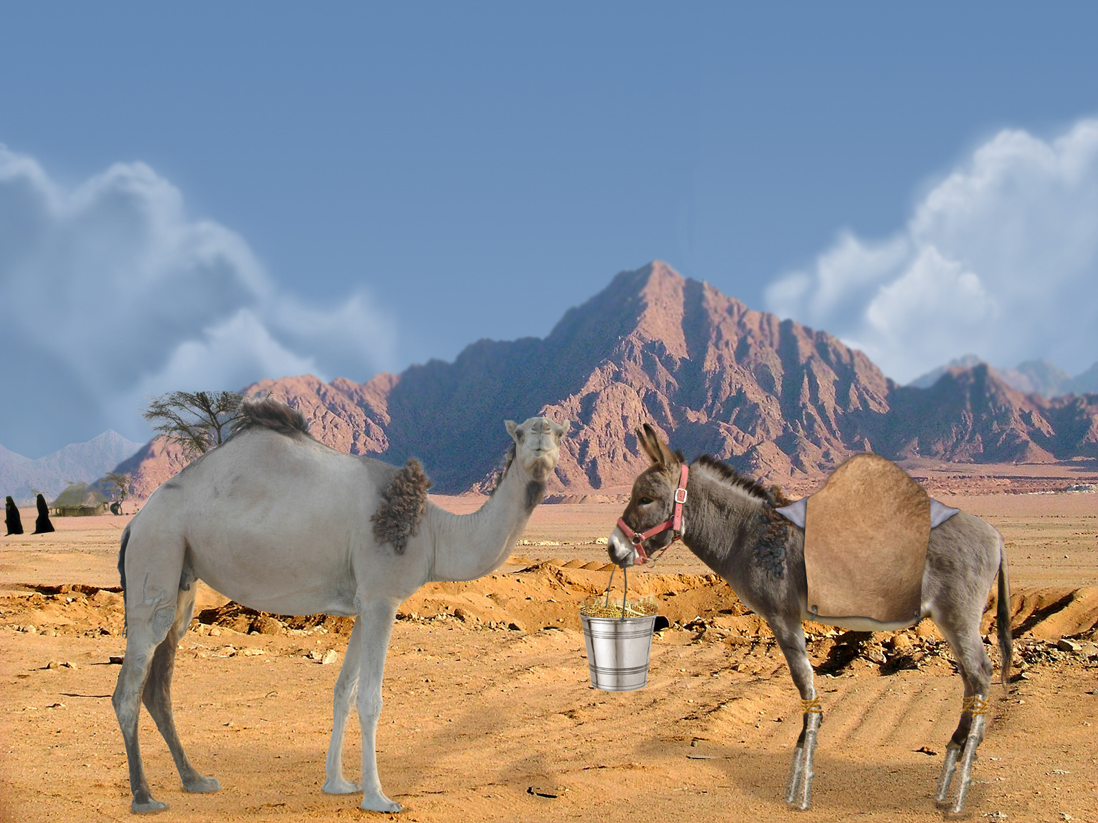 Photoshop Design by marcuccio88 for DesignCrowd (Community Contests) | Design #8973844