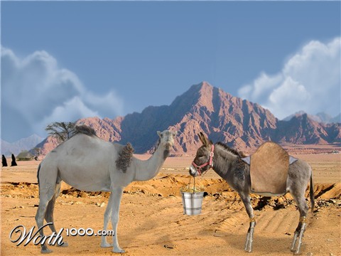 Photoshop Design by marcuccio88