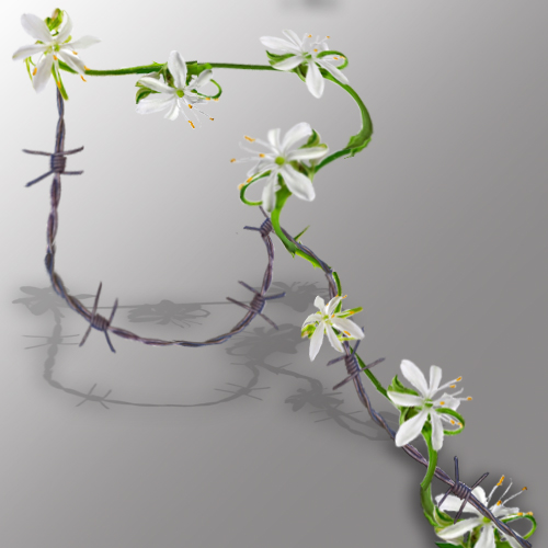 Photoshop Design by NikolaRis for DesignCrowd (Community Contests) | Design #8973872