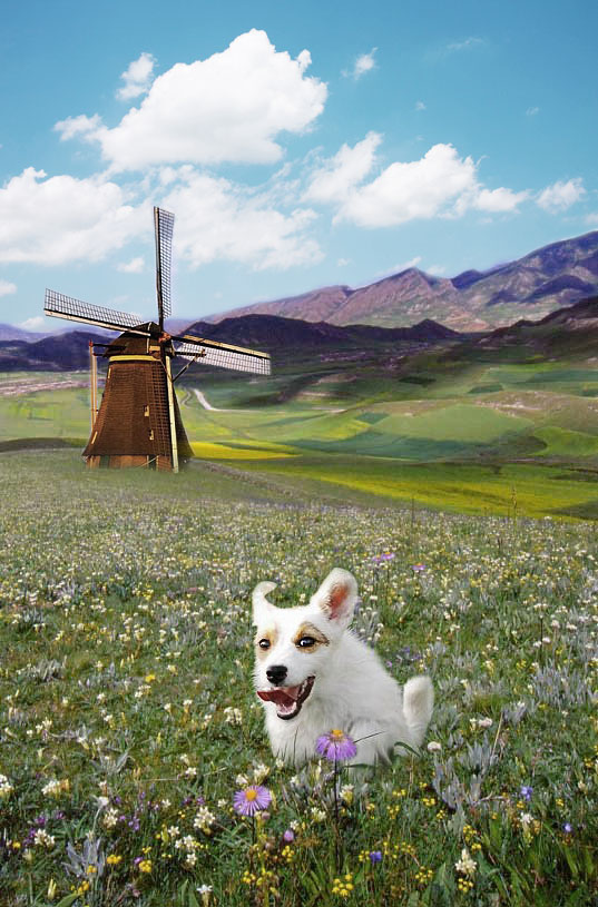 Diseño de Photoshop por bennyandthemets para DesignCrowd (Community Contests) | Diseño #8973288