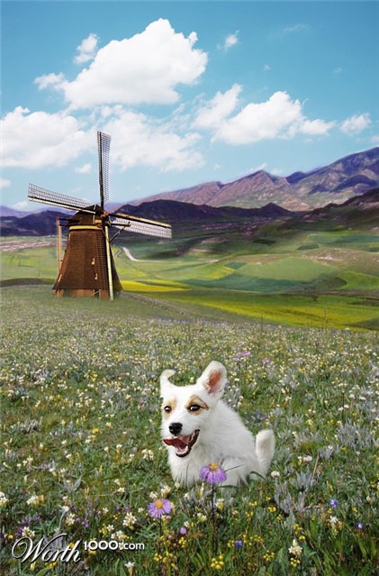 Photoshop Design by bennyandthemets