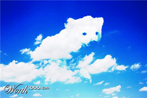 Photoshop Design by splitsoo