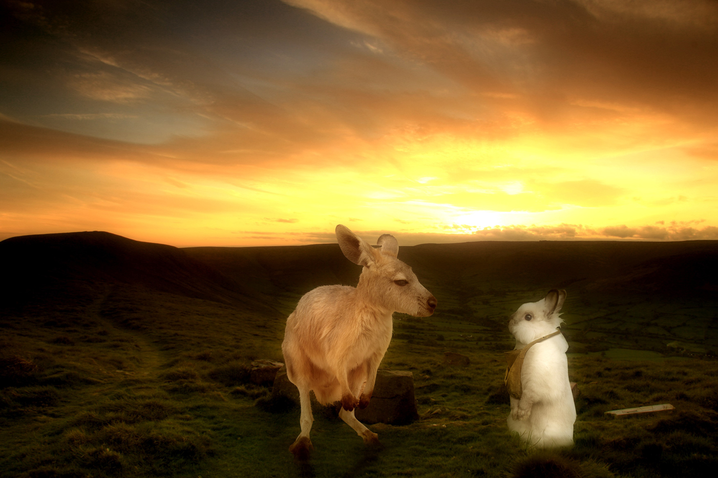 Photoshop Design by ruppelman for DesignCrowd (Community Contests) | Design #8973857