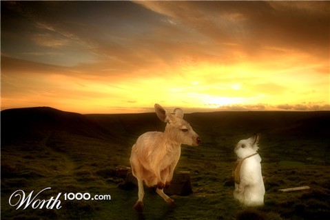 Photoshop Design by ruppelman