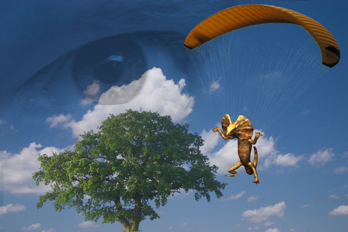 Photoshop-Design von ebvbaer für DesignCrowd (Community Contests) | Design #8973507