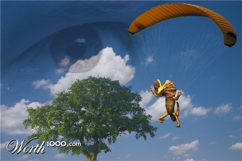 Photoshop Design by ebvbaer