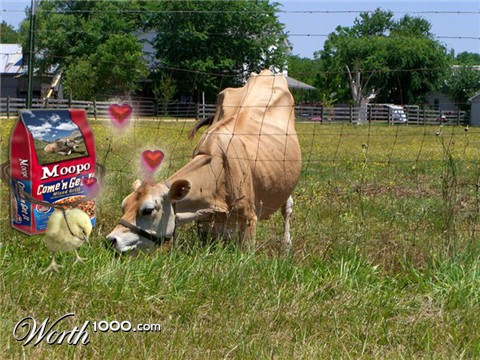 Photoshop Design by dhallfxs