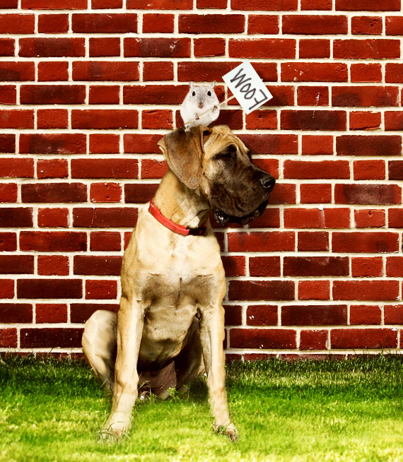 Photoshop Design by hygienteknikern for DesignCrowd (Community Contests) | Design #8973854