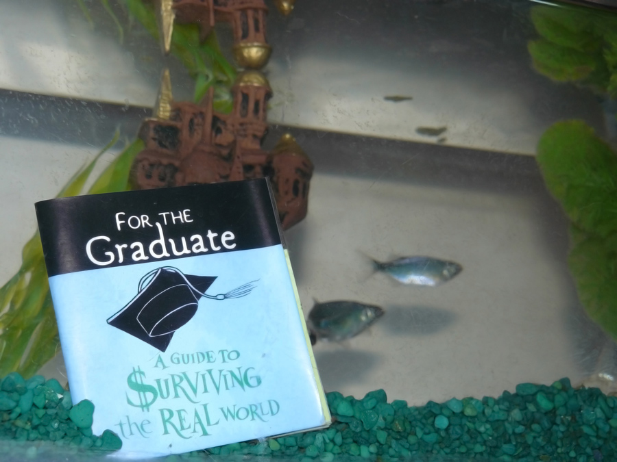 Fotografía por Scerakor para DesignCrowd (Community Contests) | Diseño #8968924