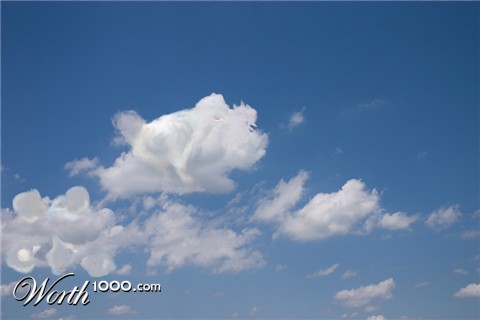 Photoshop Design by totallyartistic