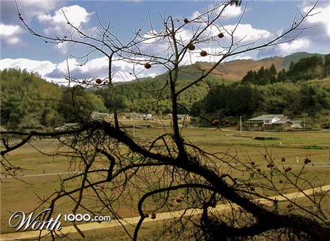 Photography by asterOne