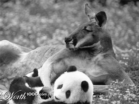 Photoshop Design by MageNero