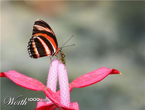 Photoshop Design by teboentle