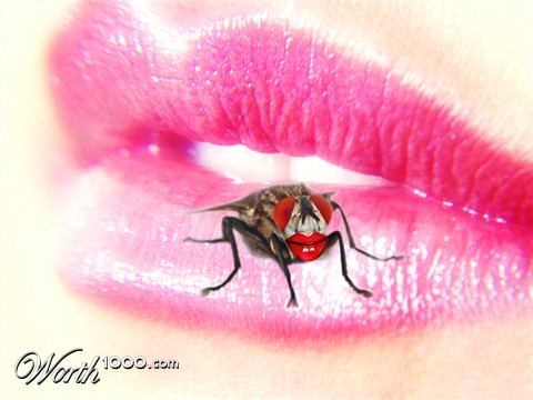 Photoshop Design by siemhustler