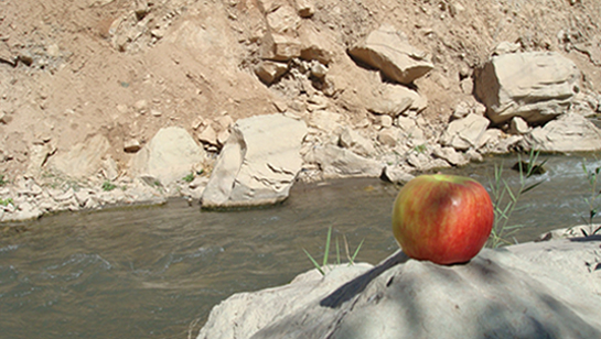 Photography by memool for DesignCrowd (Community Contests) | Design #8968117