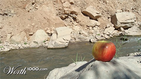 Photography by memool