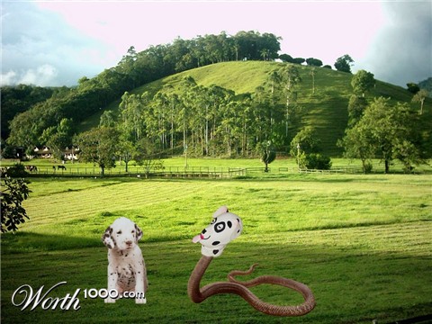 Photoshop Design by Amynata