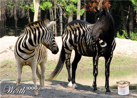 Photoshop Design by KimSouza