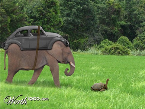 Photoshop Design by PseudoEvolution