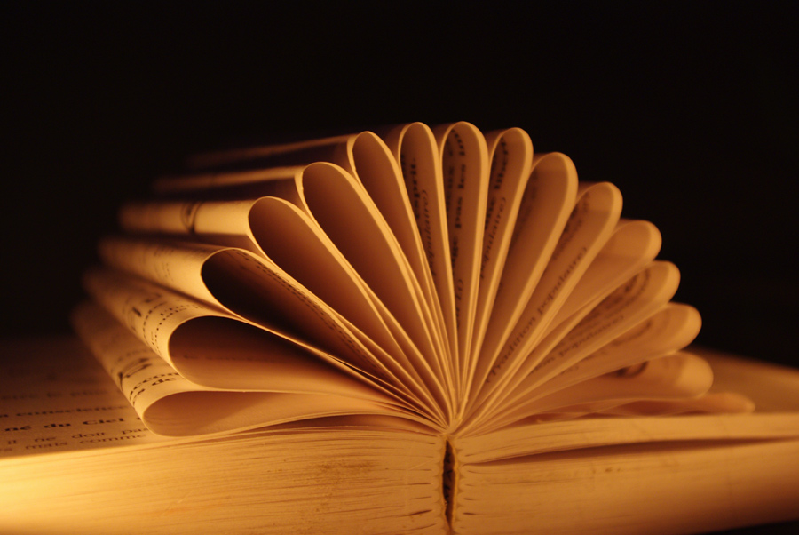 Photography by kida13 for DesignCrowd (Community Contests) | Design #8968964