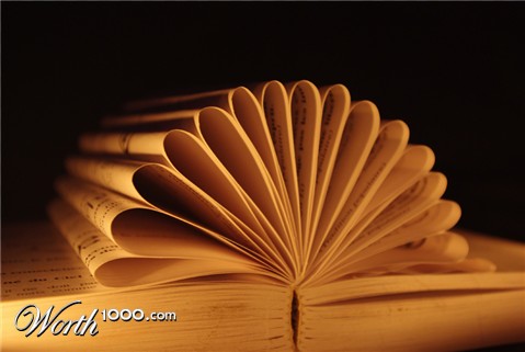 Photography by kida13