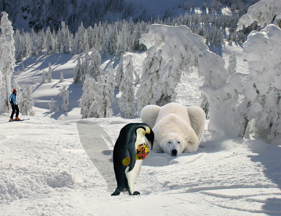 Photoshop Design by pisapdales for DesignCrowd (Community Contests) | Design #8973885