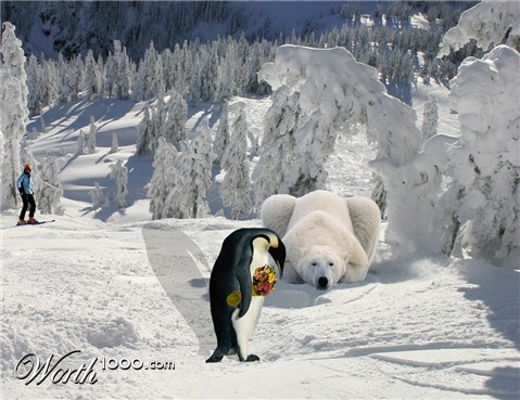 Photoshop Design by pisapdales