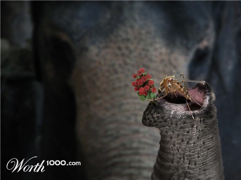 Photoshop Design by Piefke