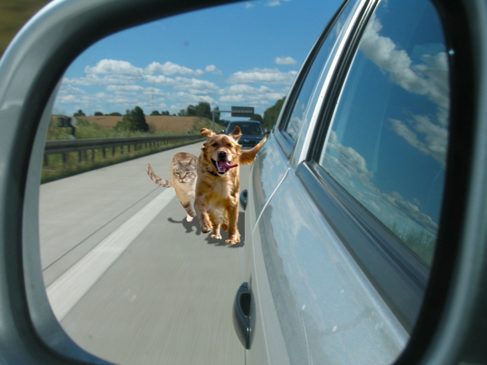 Diseño de Photoshop por storyteacher2002 para DesignCrowd (Community Contests) | Diseño #8973954