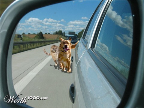 Photoshop Design by storyteacher2002