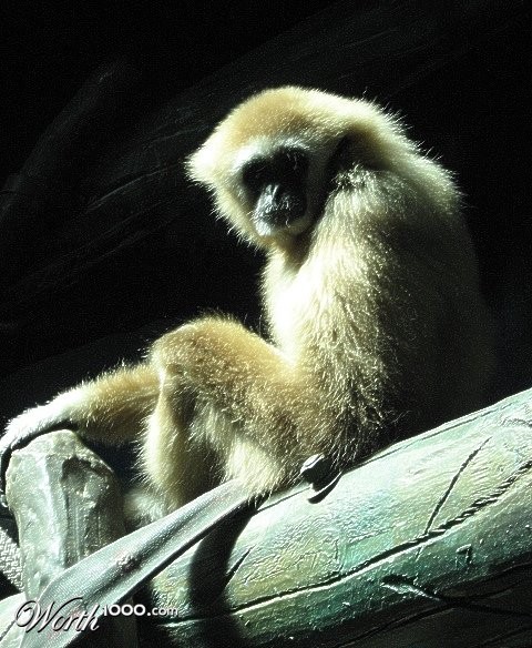 Photography by Solipse1