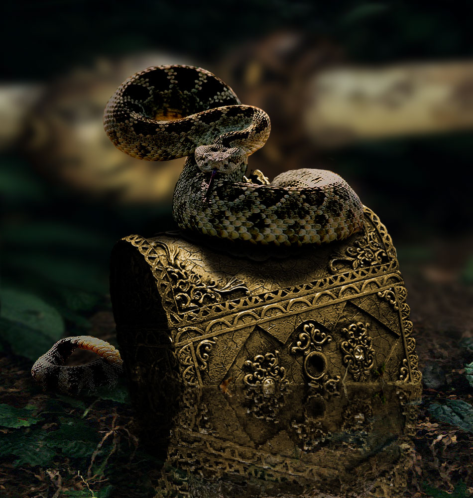 Photoshop Design by InderjeetAulakh for DesignCrowd (Community Contests) | Design #8975396