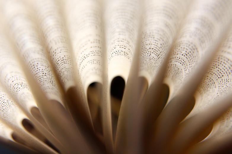 Photography by johnkeats for DesignCrowd (Community Contests) | Design #8968941