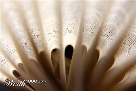 Photography by johnkeats