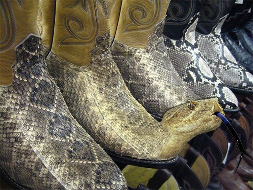 Photoshop-Design von dhallfxs für DesignCrowd (Community Contests) | Design #8970523