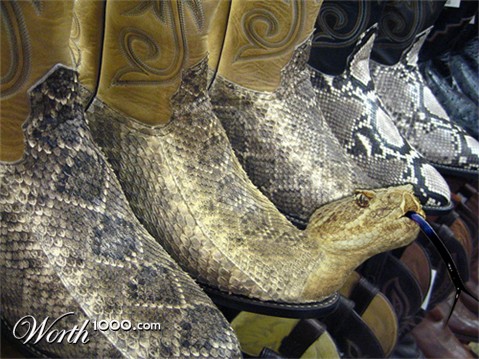 Photoshop Design by dhallfxs