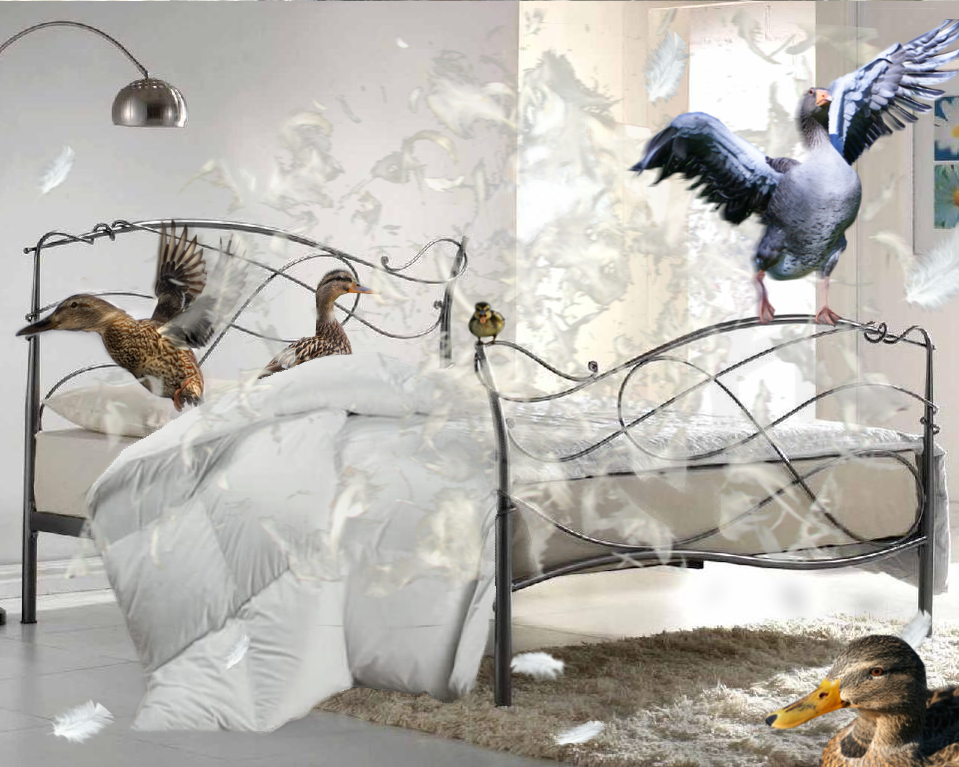 Diseño de Photoshop por lunke13 para DesignCrowd (Community Contests) | Diseño #8970510