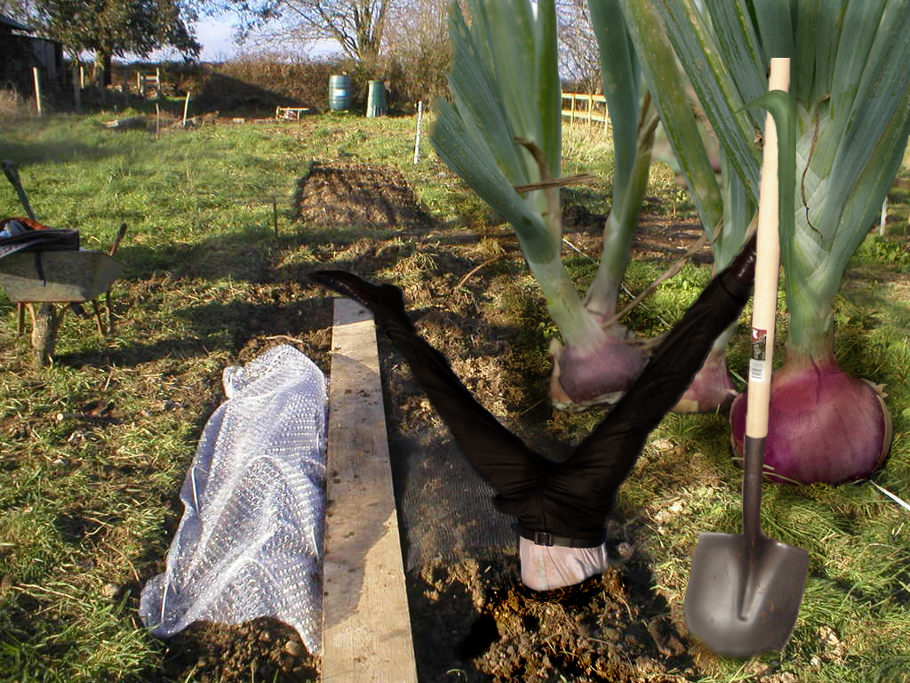 Photoshop Design by amalmansy for DesignCrowd (Community Contests) | Design #8971494