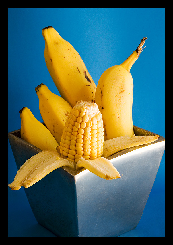 Photographie par Pr4ktic pour DesignCrowd (Community Contests) | Design #8968153