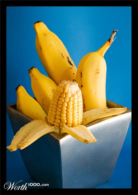 Photography by Pr4ktic