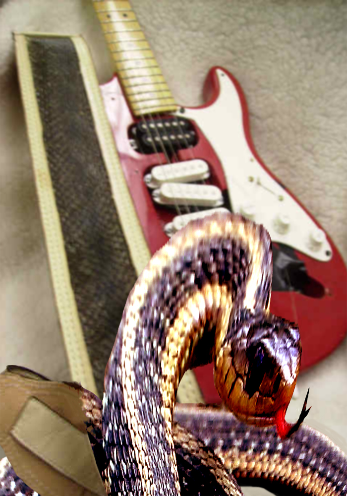 Photoshop Design by studiotexsmyth for DesignCrowd (Community Contests) | Design #8970552