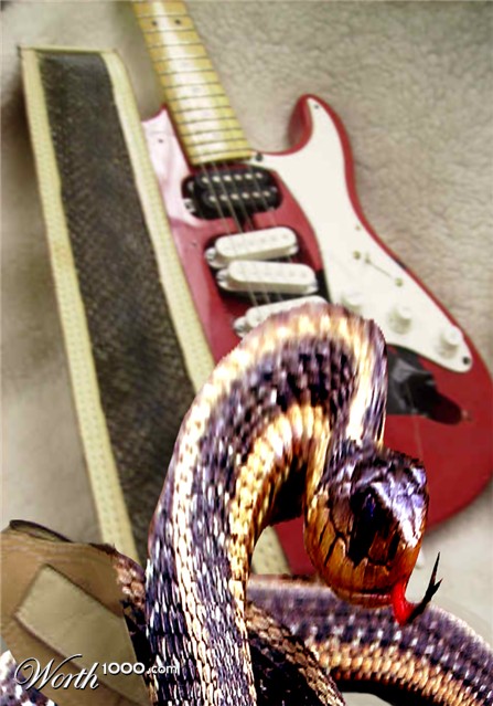 Photoshop Design by studiotexsmyth