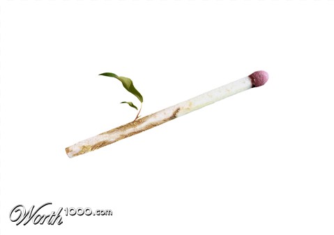 Photoshop Design by Imamami