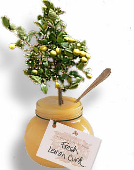 Photoshop-Design von ferretsgames für DesignCrowd (Community Contests) | Design #8970623