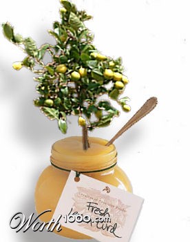 Photoshop Design by ferretsgames