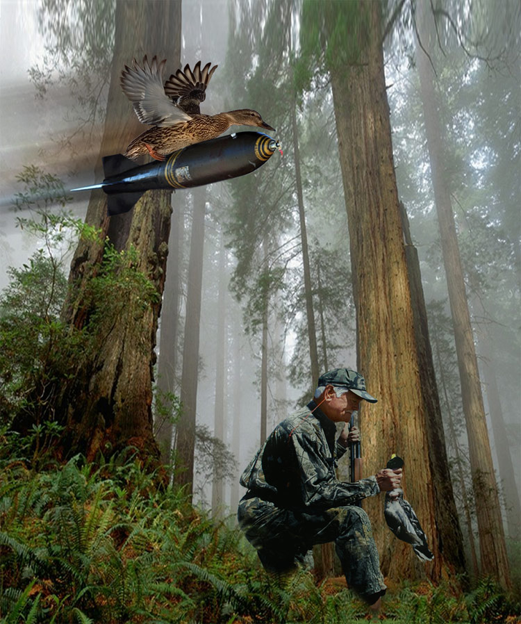 Photoshop Design by Seba86 for DesignCrowd (Community Contests) | Design #8971521