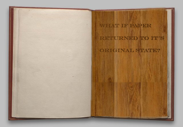 Photoshop Design by becabubble for DesignCrowd (Community Contests) | Design #8970597