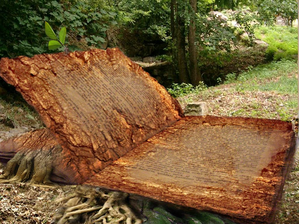 Design Photoshop par pierrX pour DesignCrowd (Community Contests) | Design #8970619