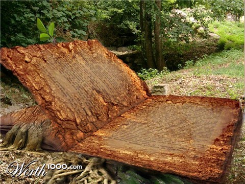 Photoshop Design by pierrX