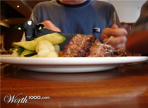 Photoshop Design by allanoora